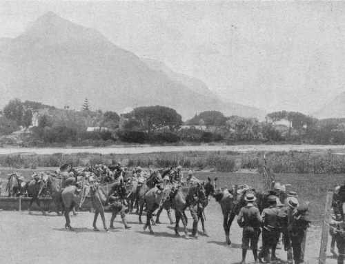The History of Maitland